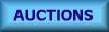Auctions (in construction)